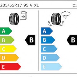 Sava All Weather 205/55R17 95V XL